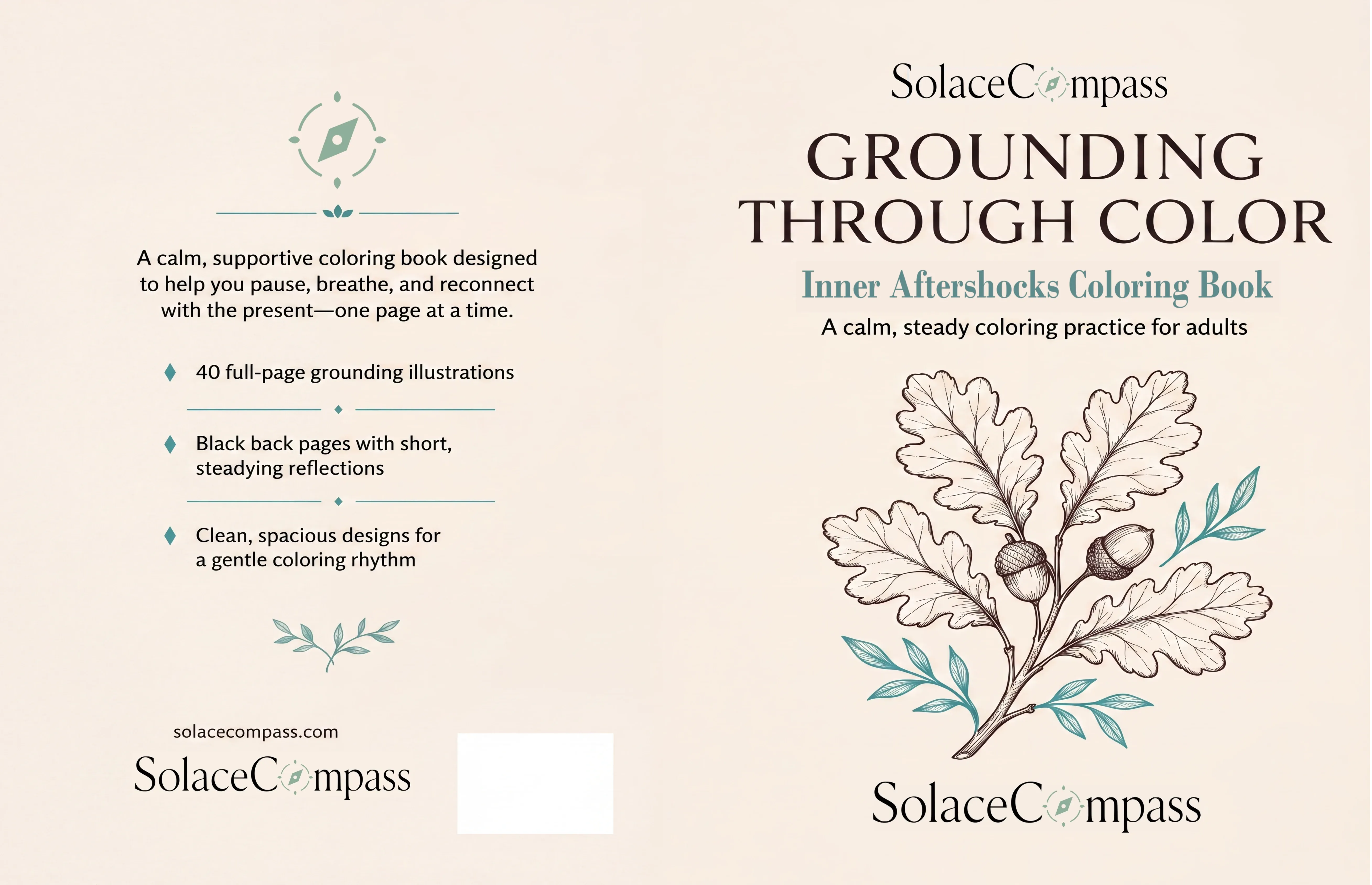 Grounding Through Color: PTSD Coloring Book